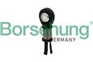 Borsehung B18199