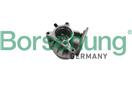 Borsehung B18666
