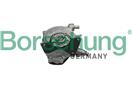 Borsehung B18771