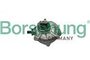 Borsehung B18772