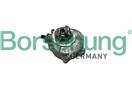 Borsehung B18773