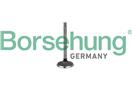 Borsehung B18998