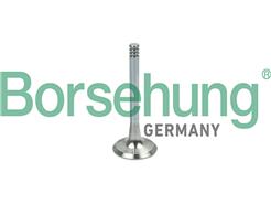Borsehung B19002