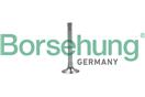 Borsehung B19003