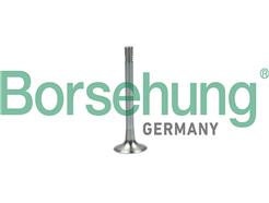 Borsehung B19003