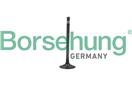 Borsehung B19006