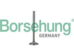Borsehung B19010