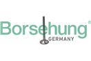 Borsehung B19012