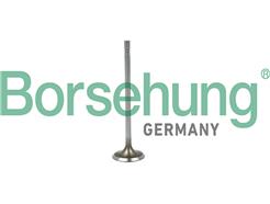 Borsehung B19015