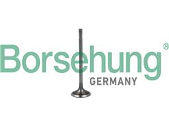 Borsehung B19023