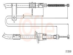 COFLE 17.2519