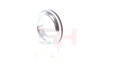 GH GH-361913 EAN: 4251530870045.