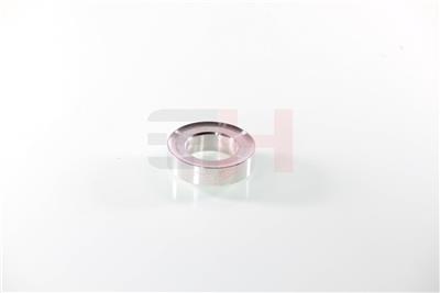 GH GH-364722 EAN: 4251530885223.