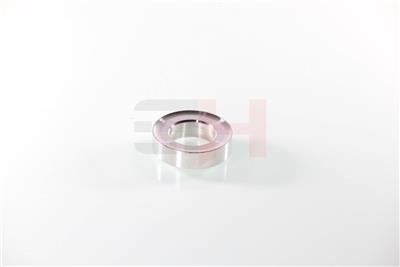 GH GH-364722 EAN: 4251530885223.