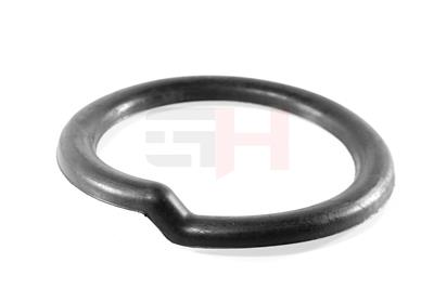 GH GH-621937 EAN: 4251530887579.