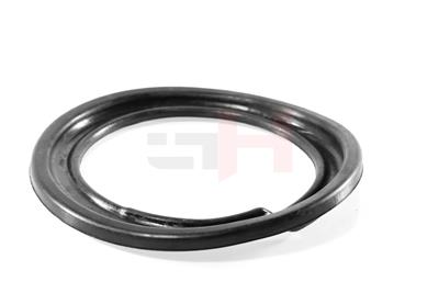 GH GH-621960 EAN: 4251530887593.