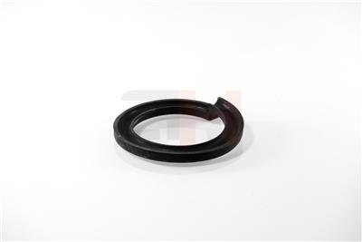 GH GH-625250 EAN: 4251530891514.