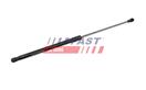 FAST FT00181