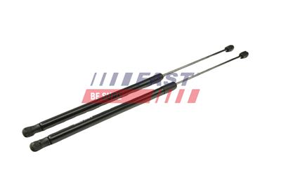 FAST FT00189 EAN: 5904157830594.