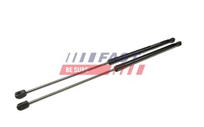 FAST FT00197K EAN: 5904157811463.