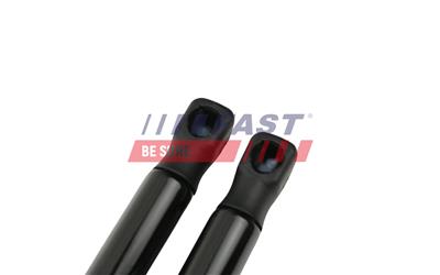 FAST FT00197K EAN: 5904157811463.