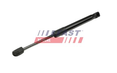 FAST FT00204