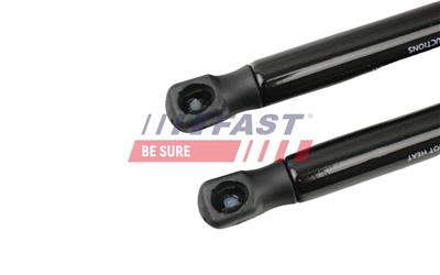 FAST FT00210 EAN: 5904157811838.