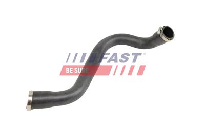 FAST FT01134 EAN: 5904157843044.