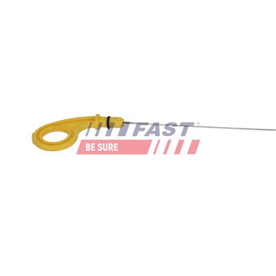 FAST FT01555