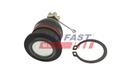 FAST FT01684