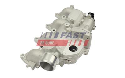 FAST FT10060 EAN: 5904157816550.