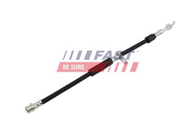 FAST FT10099 EAN: 5904157817632.