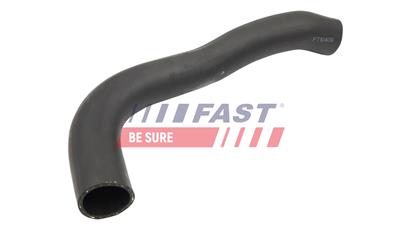 FAST FT10409 EAN: 5904157822773.
