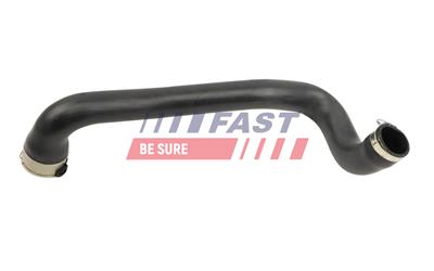 FAST FT10498 EAN: 5904157831799.