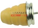 FAST FT18101