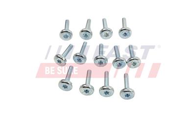 FAST FT38014 EAN: 5904157885327.