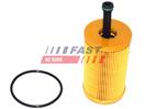 FAST FT38079