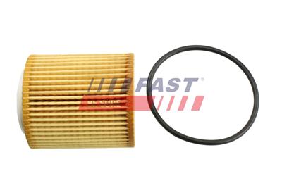 FAST FT38100 EAN: 5901797090388.