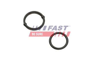 FAST FT39003 EAN: 5901797014179.