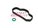 FAST FT48302