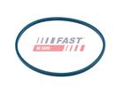 FAST FT48504 - Těsnění, plnicí hrdlo palivové nádrže