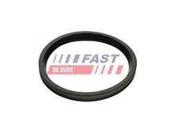 FAST FT48947