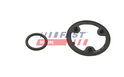 FAST FT48954 EAN: 5904157850417.