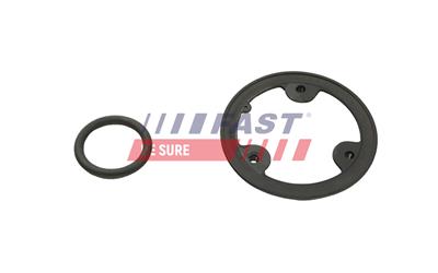 FAST FT48954 EAN: 5904157850417.