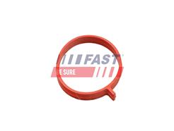 FAST FT48962