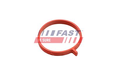 FAST FT48962 EAN: 5904157832710.