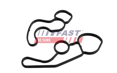 FAST FT48961 EAN: 5904157883446.