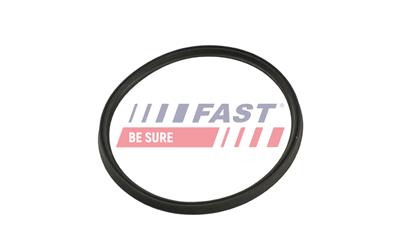 FAST FT49323 EAN: 5904157853562.