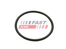 FAST FT49460