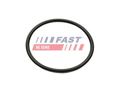 FAST FT49460 EAN: 5904157834844.